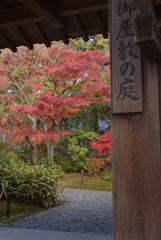 姫路城好古園 1
