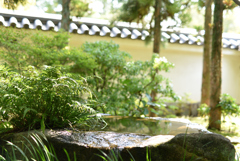 好古園 1
