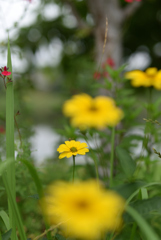 Small hymns