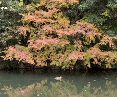 姫路城の北 28