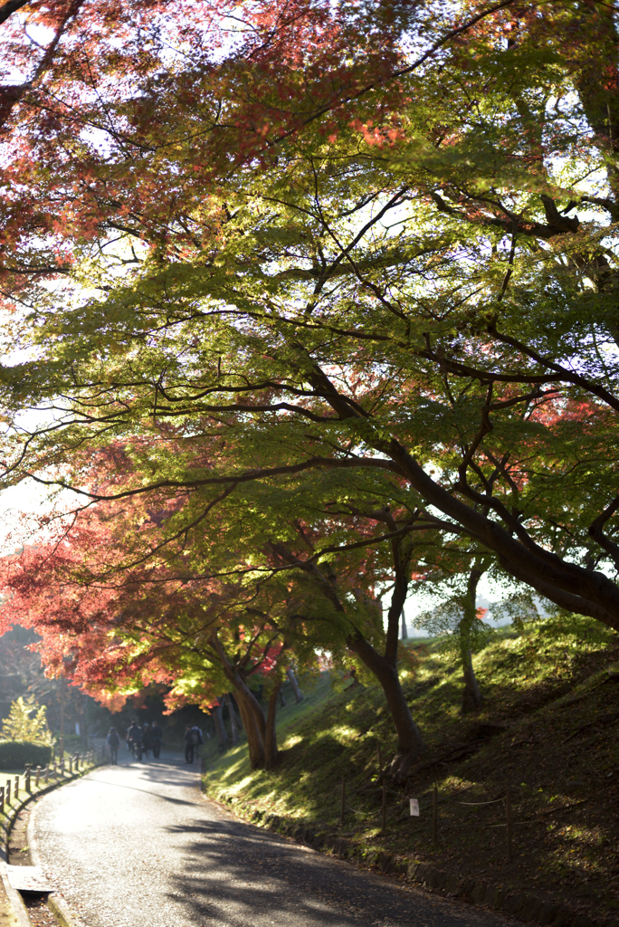 姫路城の北 10