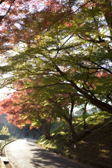 姫路城の北 10
