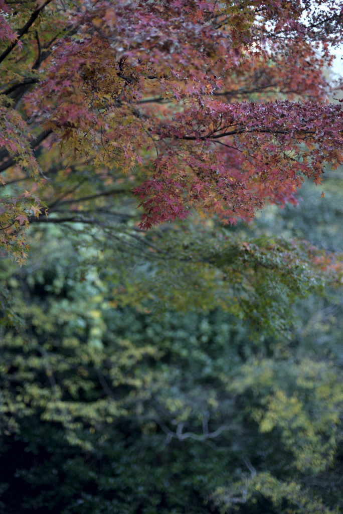 姫路城の北 8