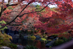 姫路城好古園 6