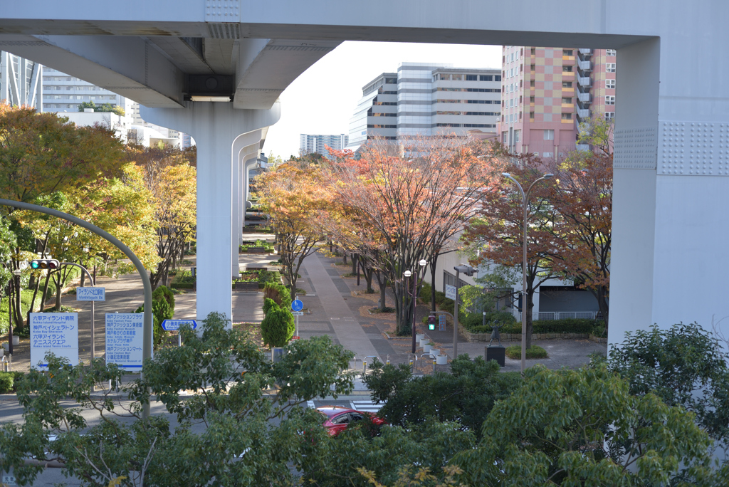 六甲アイランド 5
