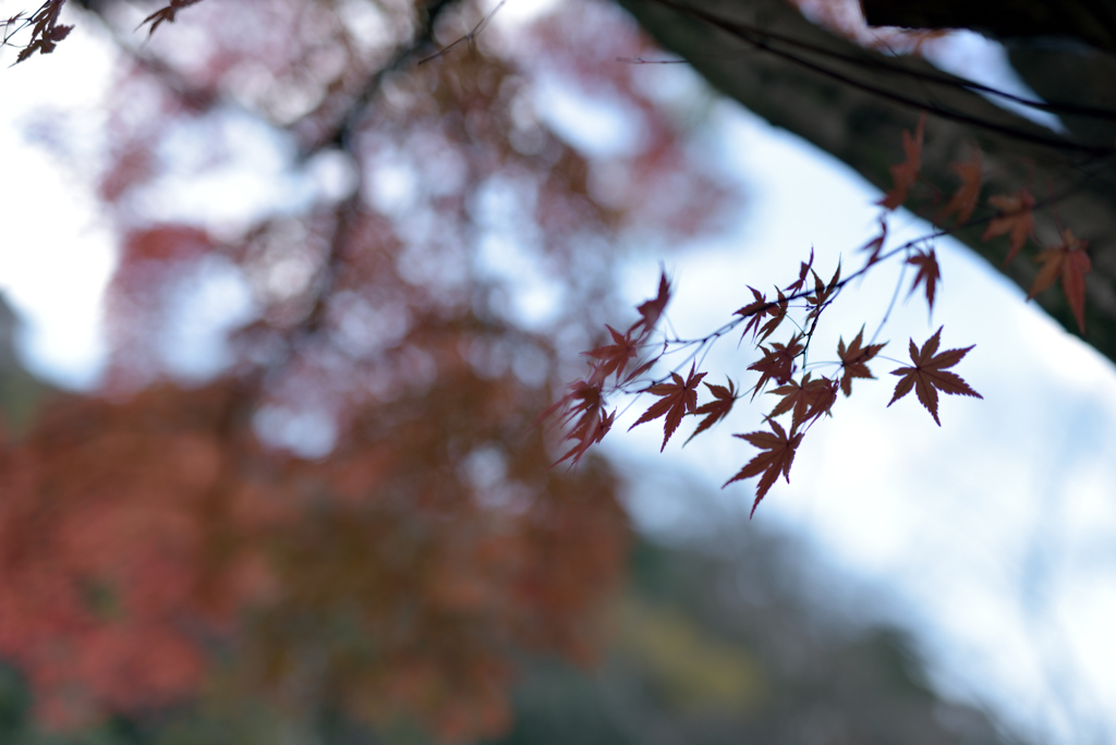 姫路城の北 16