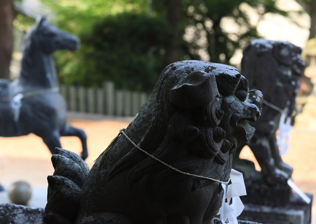 18年5月　近所の神社２