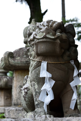 稲岡神社狛犬