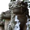 稲岡神社狛犬