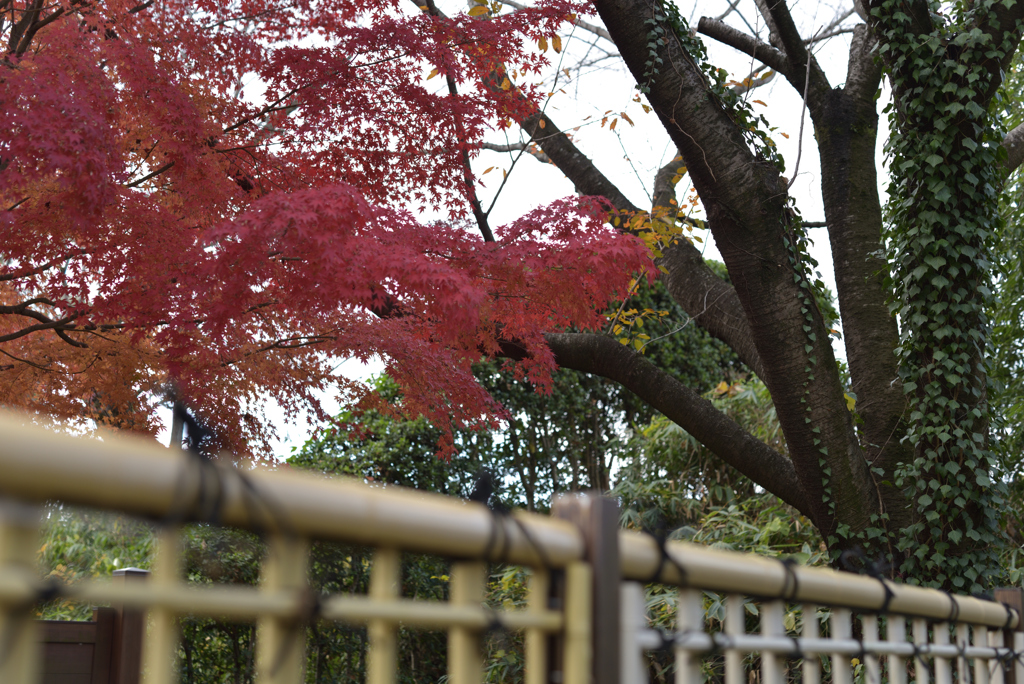 姫路城の北 30