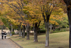 シロトピア記念公園紅葉