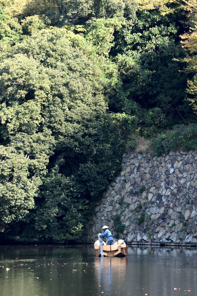 ジャングルクルーズ