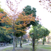 姫路城の北