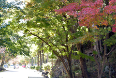 姫路城の北 4
