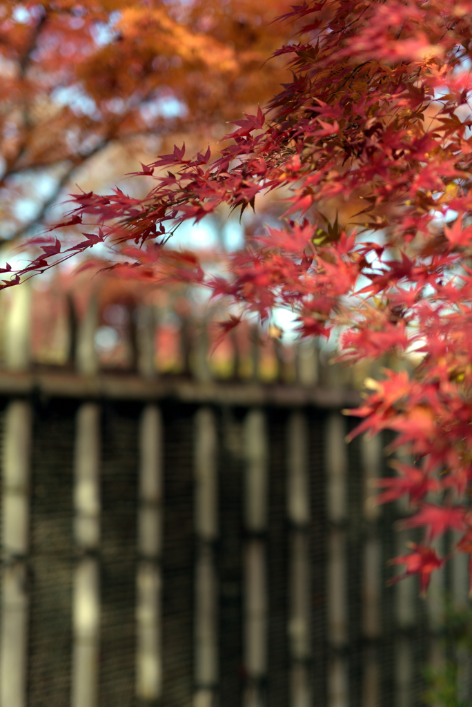 姫路城好古園 25