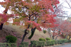 姫路城の北13