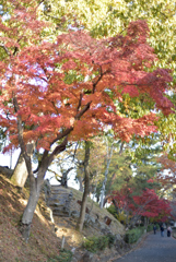 姫路城の北 6
