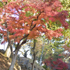 姫路城の北 6