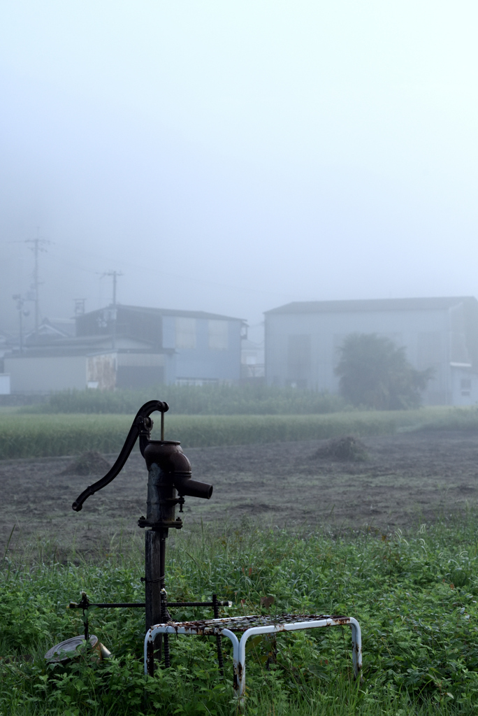 霧の朝１