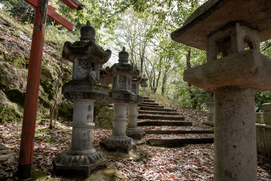 神社景色 1 ('22.4)