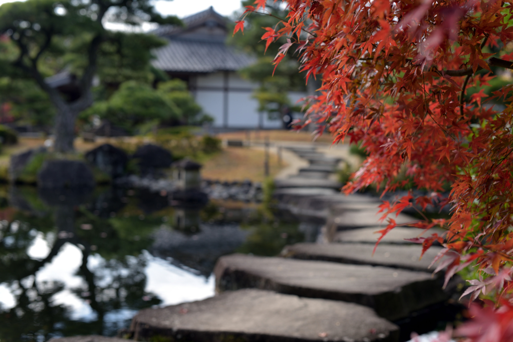 姫路城好古園 12