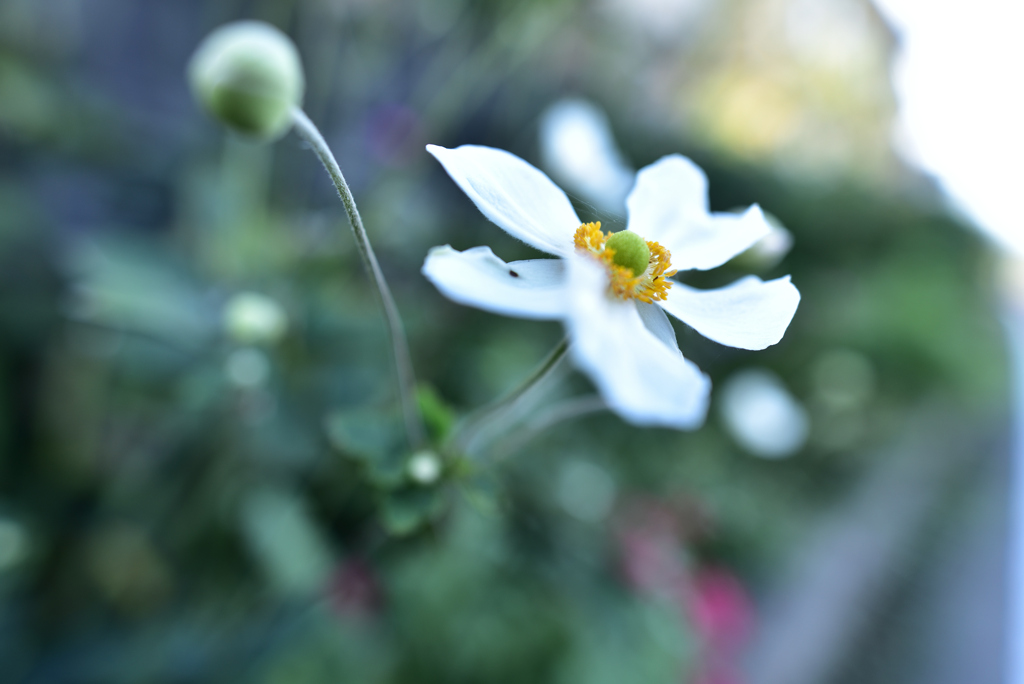 斟酌すべき荒び