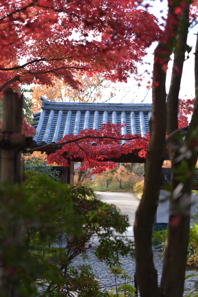 姫路城好古園 2