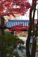姫路城好古園 2