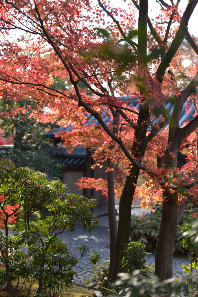 姫路城好古園 4