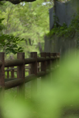 翠手並み