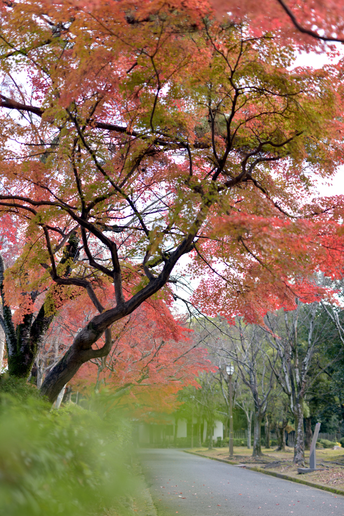 姫路城の北12