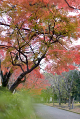 姫路城の北12