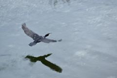 Flying above water
