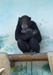 18年5月　いよっ　元気？