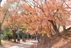 姫路城の北11