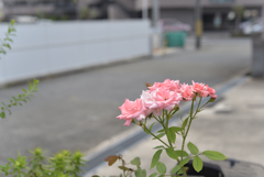 俗塵忘る