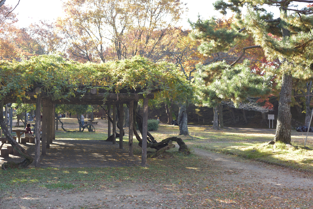 令和元年11月姫路城の堀 3