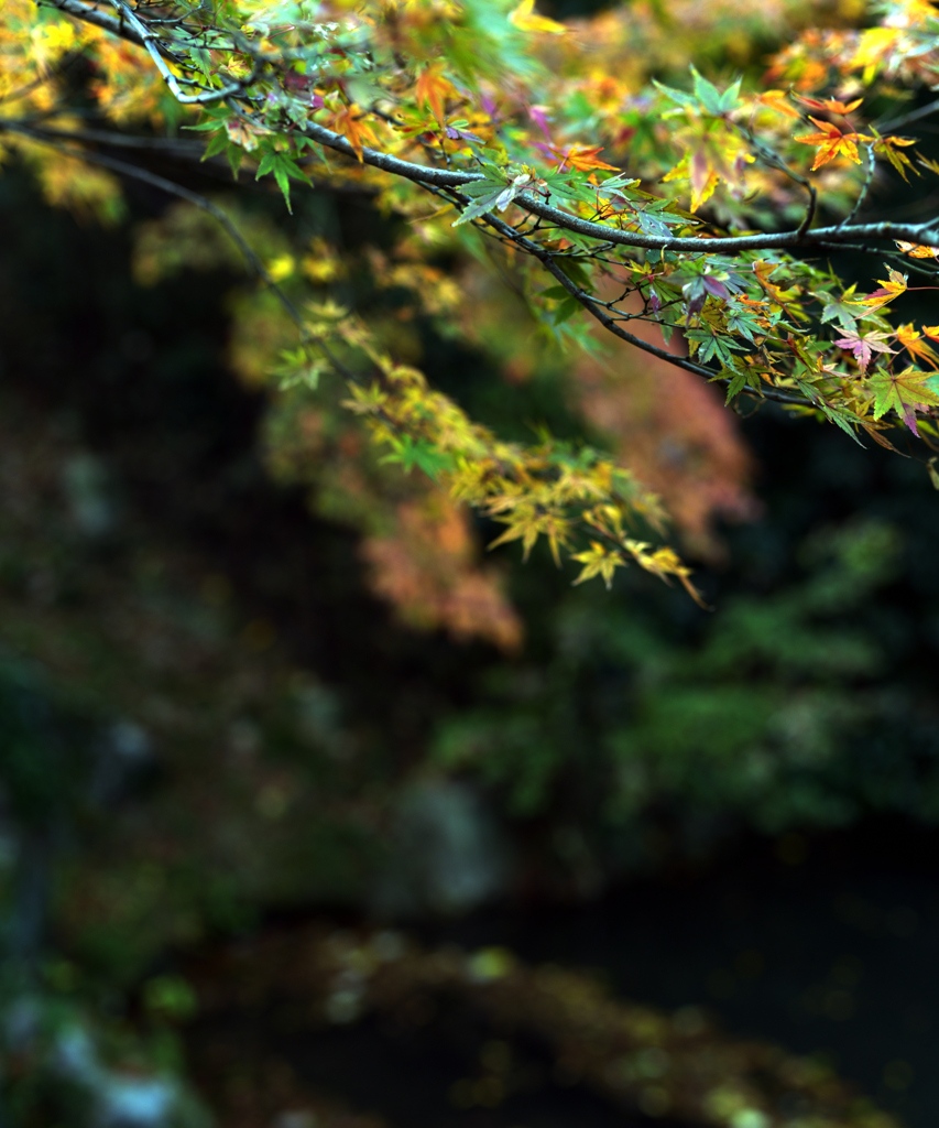 姫路城の北 26