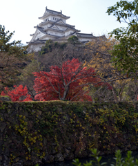 姫路城の北 27