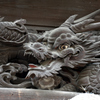 龍
