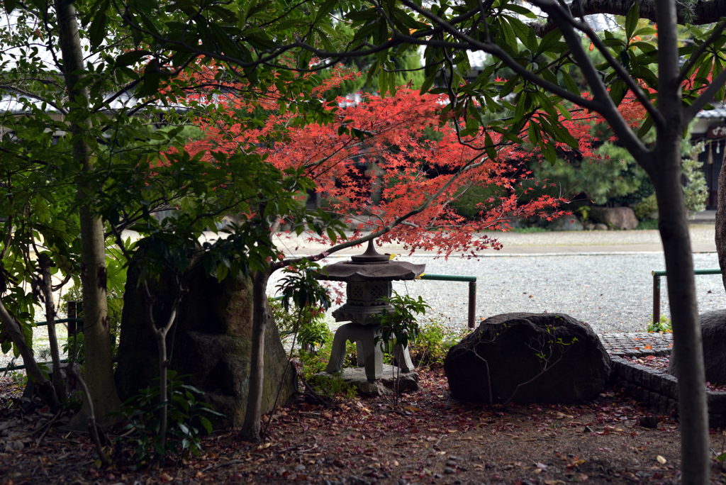 姫路城の北 24
