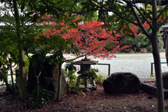 姫路城の北 24