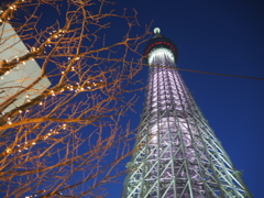 スカイツリー