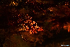 FCE71035-105B-48FC-B057-78C776ED8023