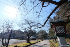 公園