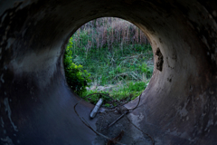 秘密基地