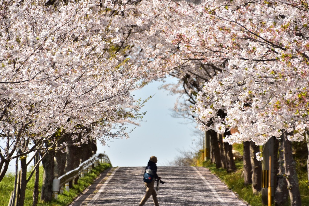 トンネル