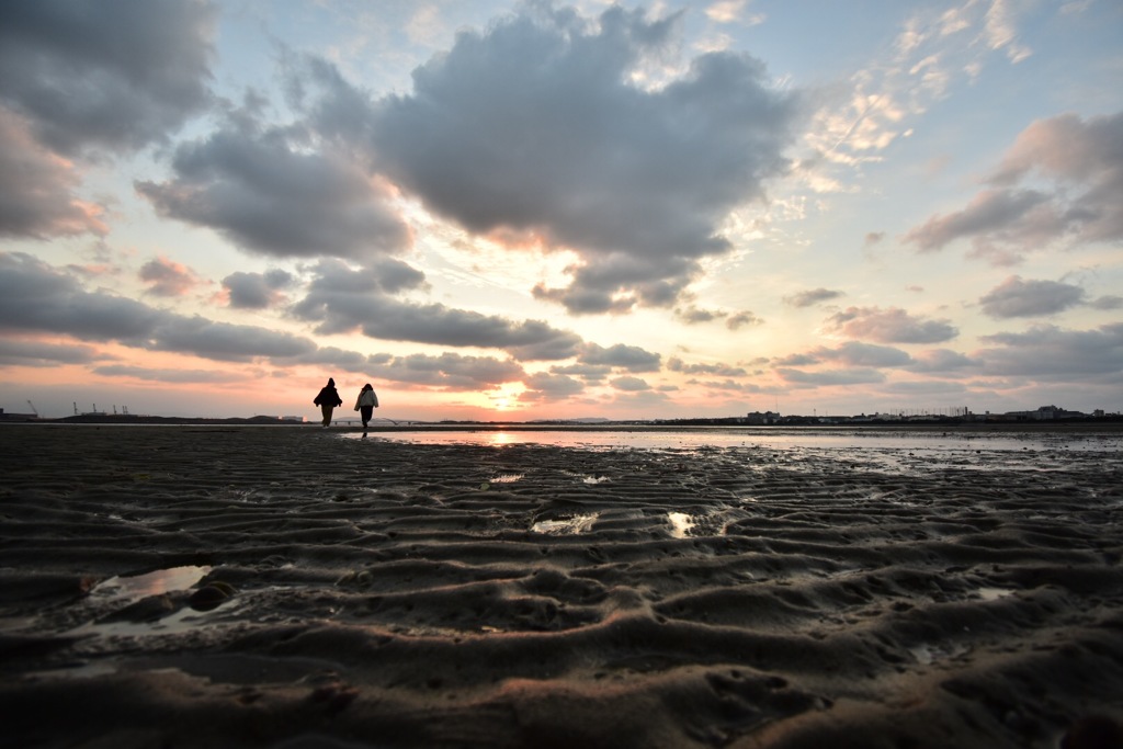 福岡  和白干潟