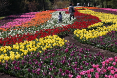 九重花公園