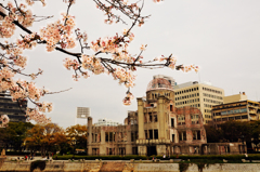 昭和の原爆ドームと桜